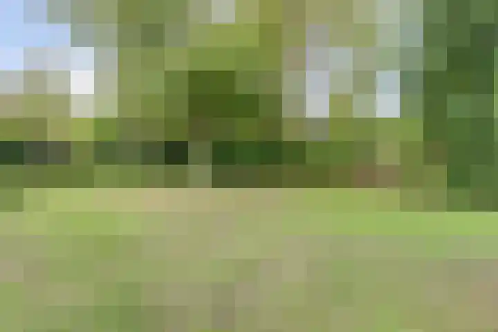 Nassaulaan 49 Baarle-Nassau thumbnail 41