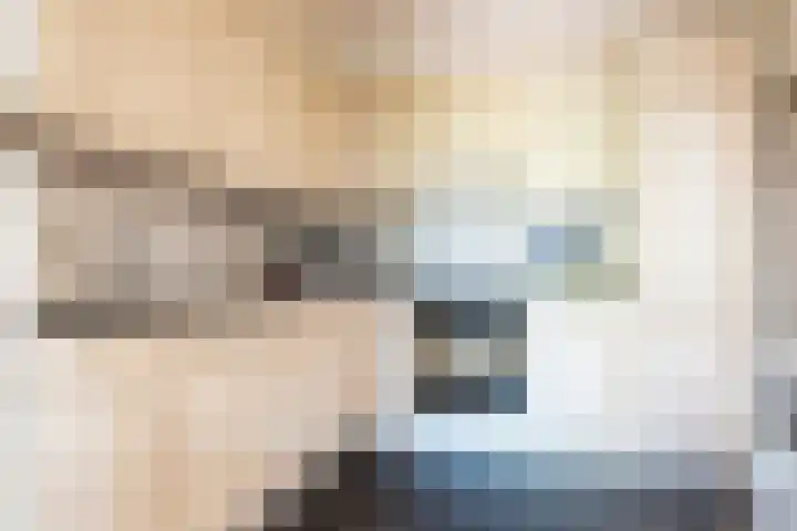 Nassaulaan 5 Kesteren thumbnail 13