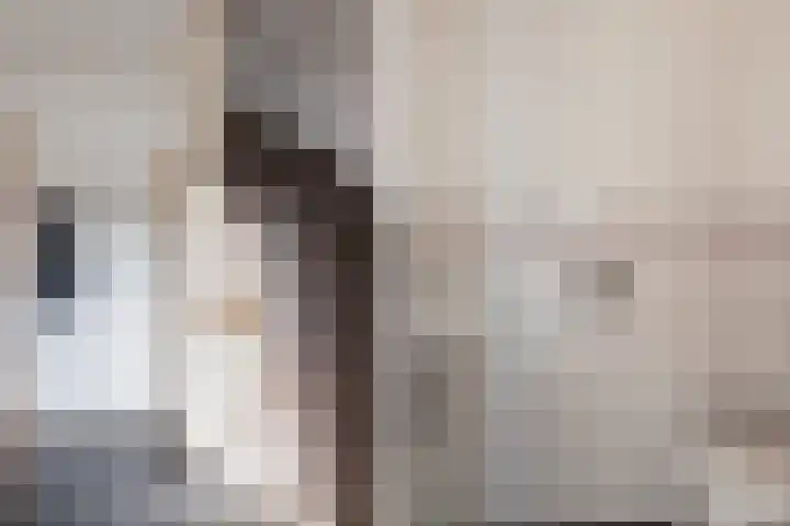 Nassaulaan 5 Kesteren thumbnail 16