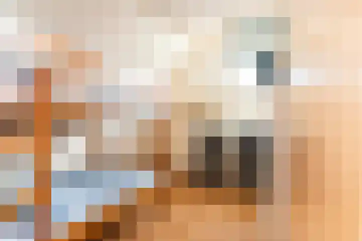 Nassaulaan 5 Kesteren thumbnail 25