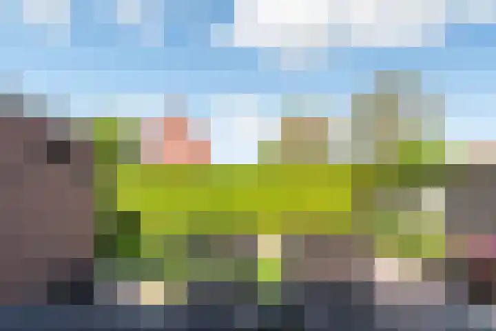 Nassaulaan 5 Kesteren thumbnail 28