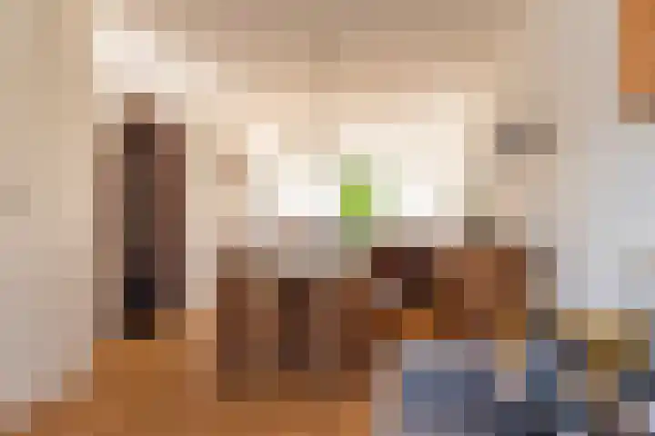 Nassaulaan 5 Kesteren thumbnail 38
