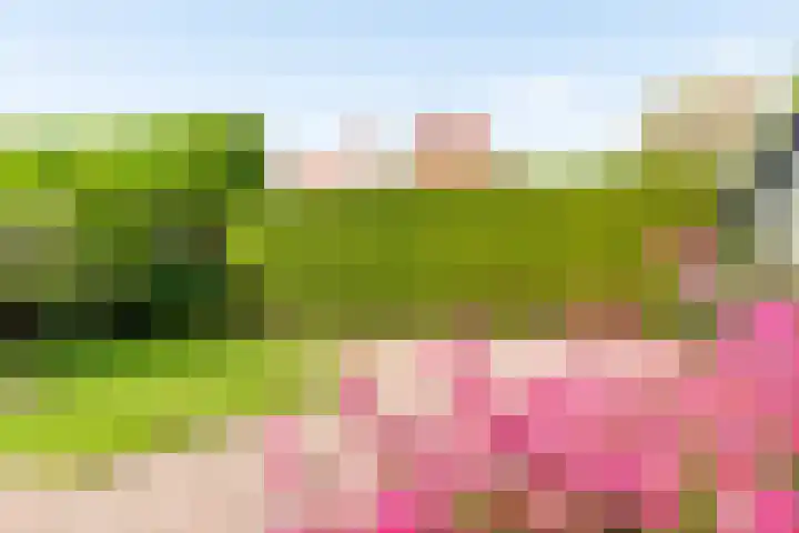 Nassaulaan 5 Kesteren thumbnail 55