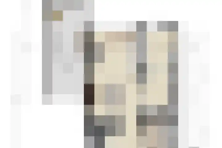 Nassaulaan 5 Kesteren thumbnail 57