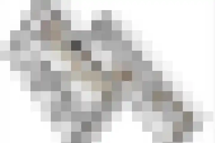 Nassaulaan 5 Kesteren thumbnail 61