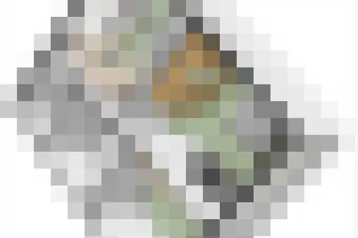 Nassaulaan 5 Kesteren thumbnail 62