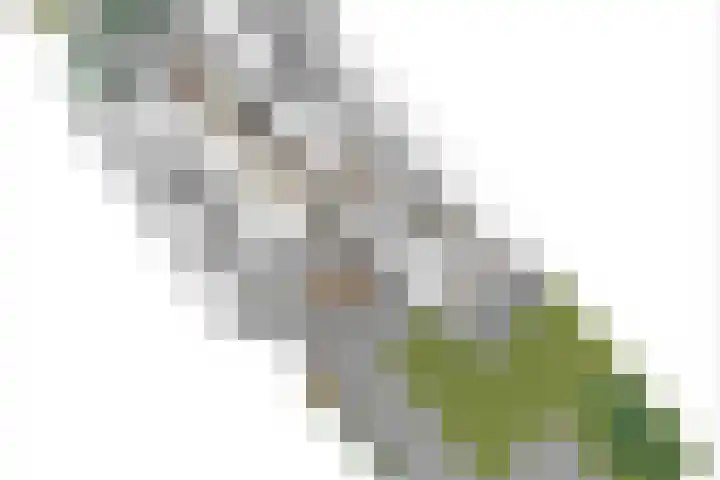 Nassaulaan 5 Kesteren thumbnail 64