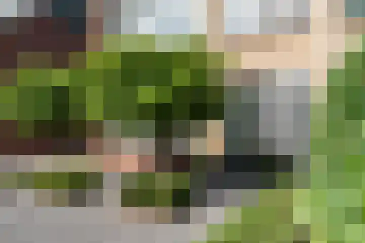 Nassaulaan 5 Kesteren thumbnail 7