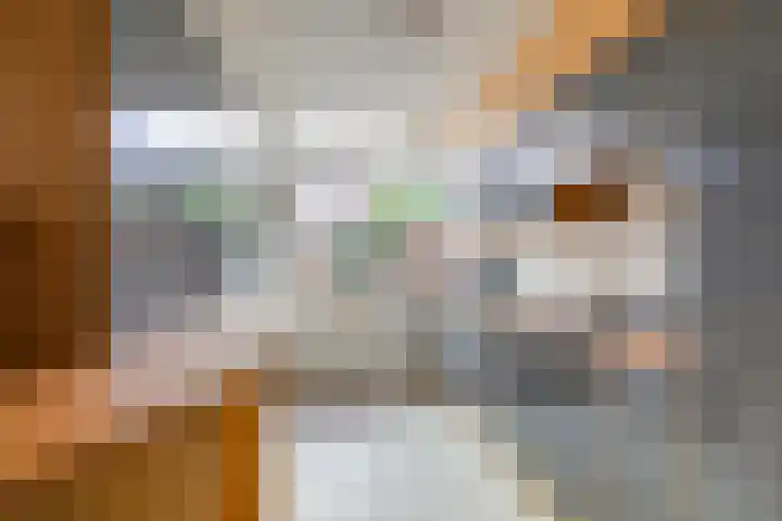 Nassaulaan 5 Leidschendam thumbnail 10