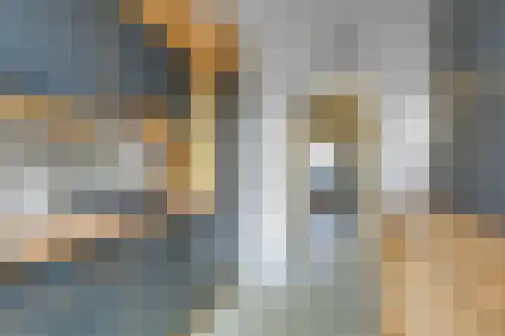 Nassaulaan 5 Leidschendam thumbnail 11