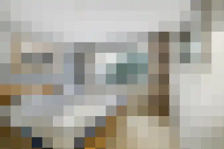 Nassaulaan 5 Leidschendam thumbnail 16