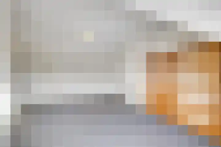 Nassaulaan 5 Leidschendam thumbnail 20