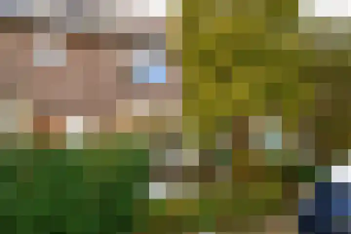Nassaulaan 5 Leidschendam thumbnail 24