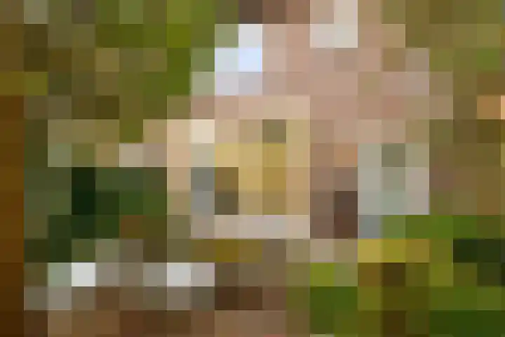 Nassaulaan 5 Leidschendam thumbnail 25