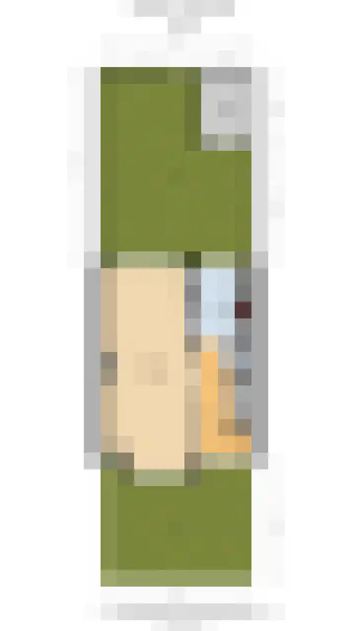 Nassaulaan 5 Leidschendam thumbnail 29