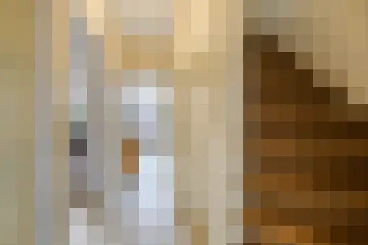 Nassaulaan 5 Leidschendam thumbnail 6