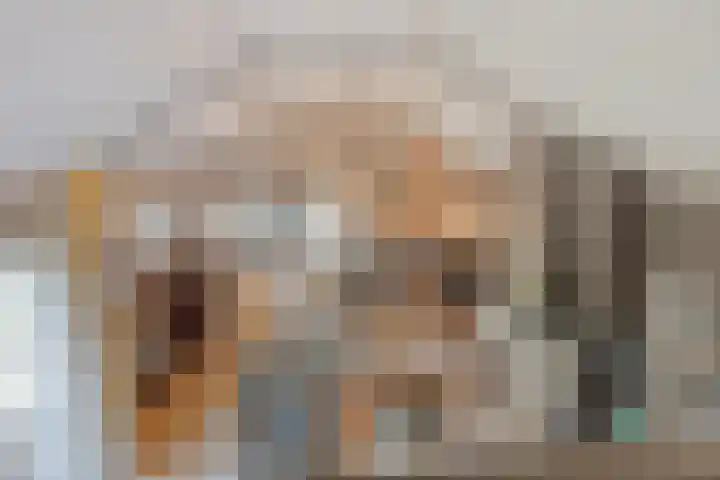 Nassaulaan 51 Steenbergen thumbnail 18