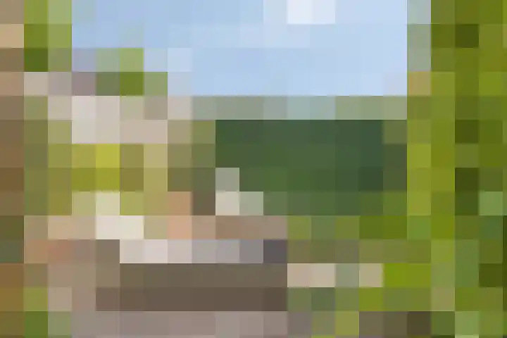 Nassaulaan 51 Steenbergen thumbnail 33