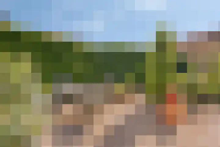 Nassaulaan 51 Steenbergen thumbnail 34