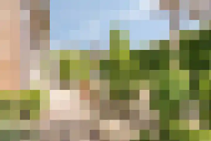 Nassaulaan 51 Steenbergen thumbnail 35