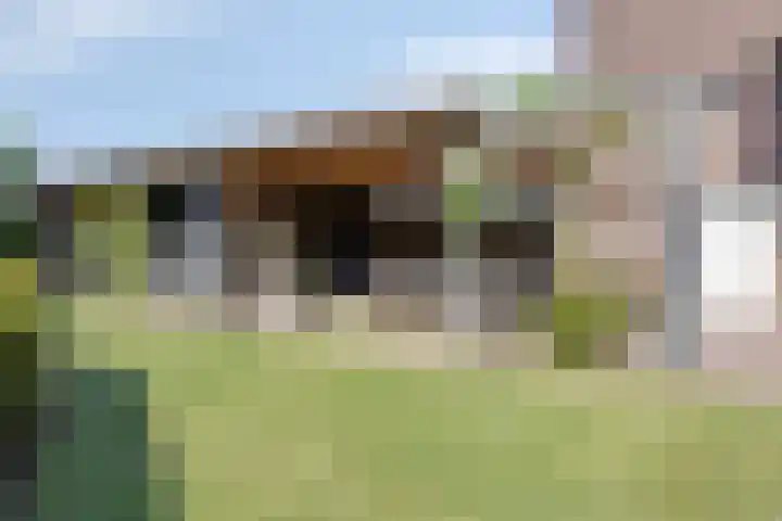 Nassaulaan 51 Steenbergen thumbnail 47