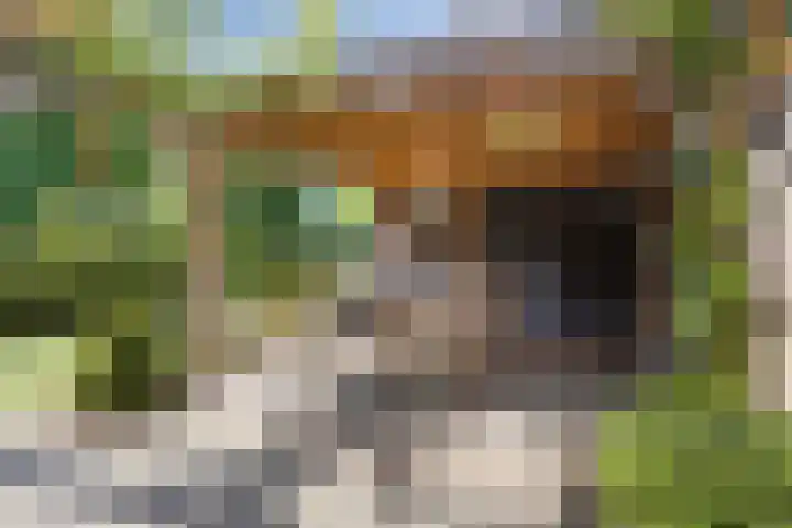 Nassaulaan 51 Steenbergen thumbnail 48