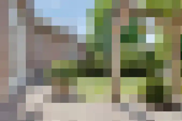 Nassaulaan 51 Steenbergen thumbnail 49