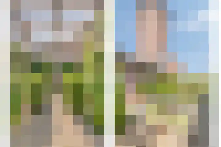 Nassaulaan 51 Steenbergen thumbnail 53