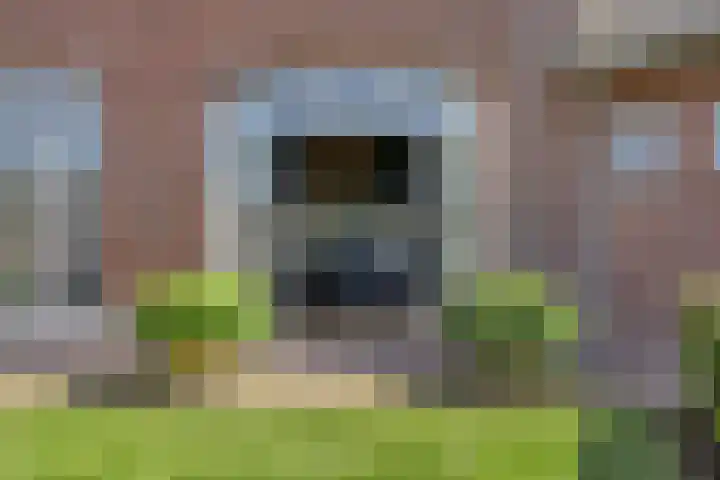 Nassaulaan 51 Steenbergen thumbnail 54