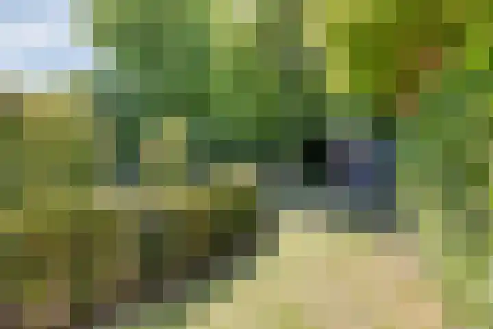 Nassaulaan 51 Steenbergen thumbnail 57