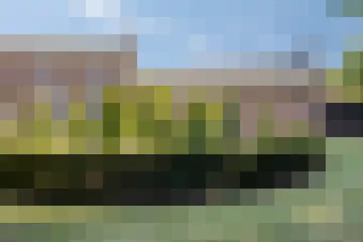 Nassaulaan 51 Steenbergen thumbnail 59