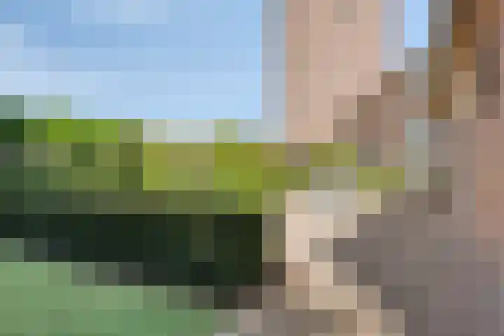 Nassaulaan 51 Steenbergen thumbnail 60