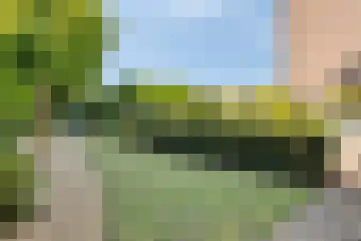 Nassaulaan 51 Steenbergen thumbnail 61