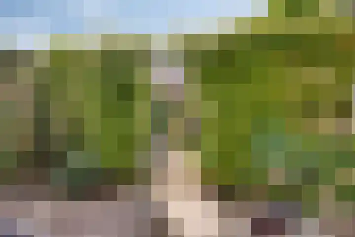 Nassaulaan 51 Steenbergen thumbnail 67