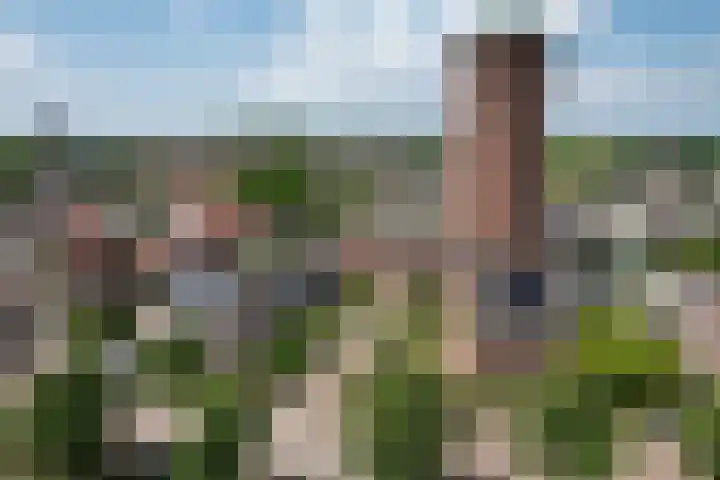 Nassaulaan 51 Steenbergen thumbnail 68