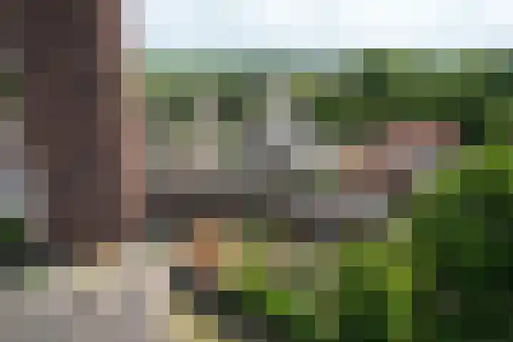Nassaulaan 51 Steenbergen thumbnail 69