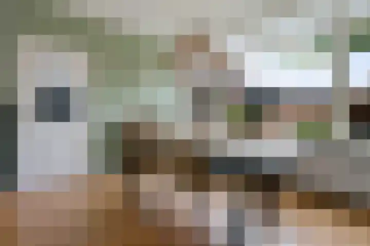 Nassaulaan 52 Hoevelaken thumbnail 10