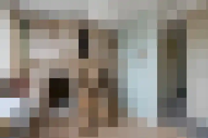 Nassaulaan 52 Hoevelaken thumbnail 15