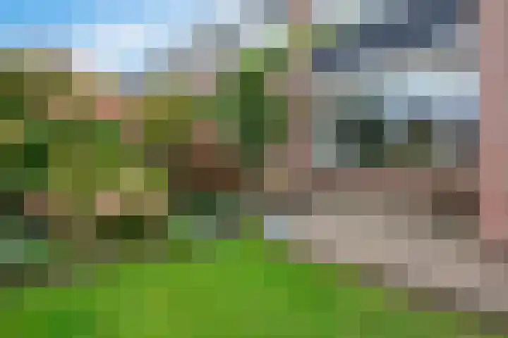Nassaulaan 52 Hoevelaken thumbnail 23