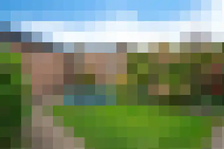 Nassaulaan 52 Hoevelaken thumbnail 24