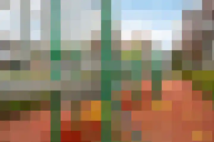 Nassaulaan 52 Hoevelaken thumbnail 26