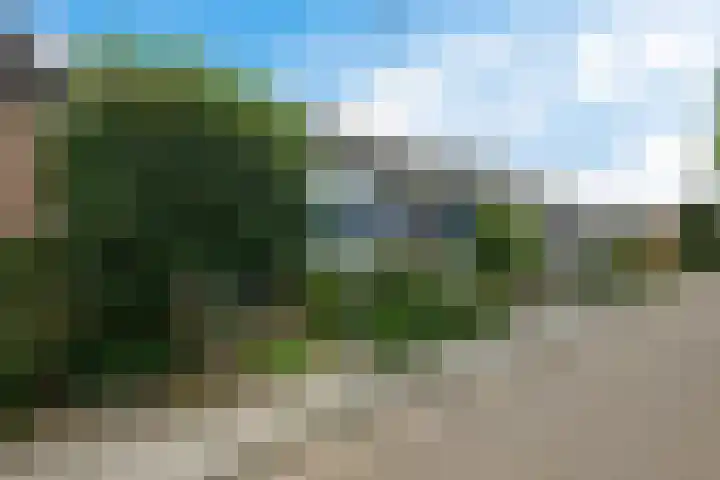 Nassaulaan 52 Hoevelaken thumbnail 6