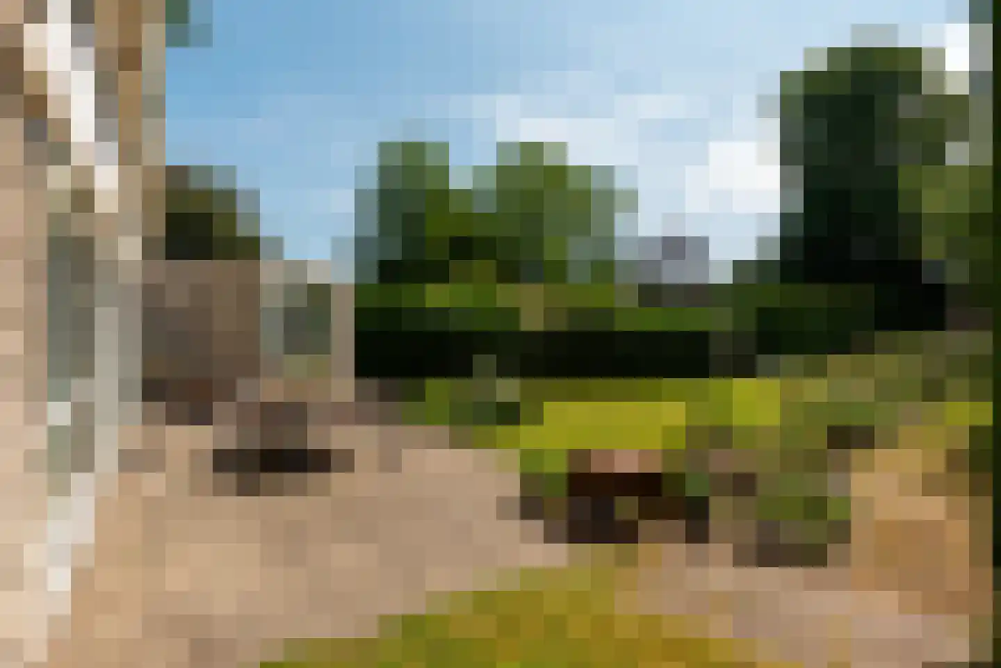 Nassaulaan 53 Baarn thumbnail 30