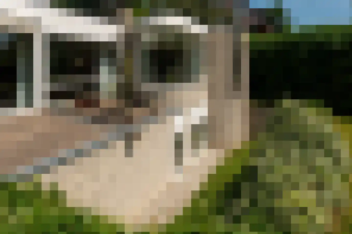 Nassaulaan 53 Baarn thumbnail 31