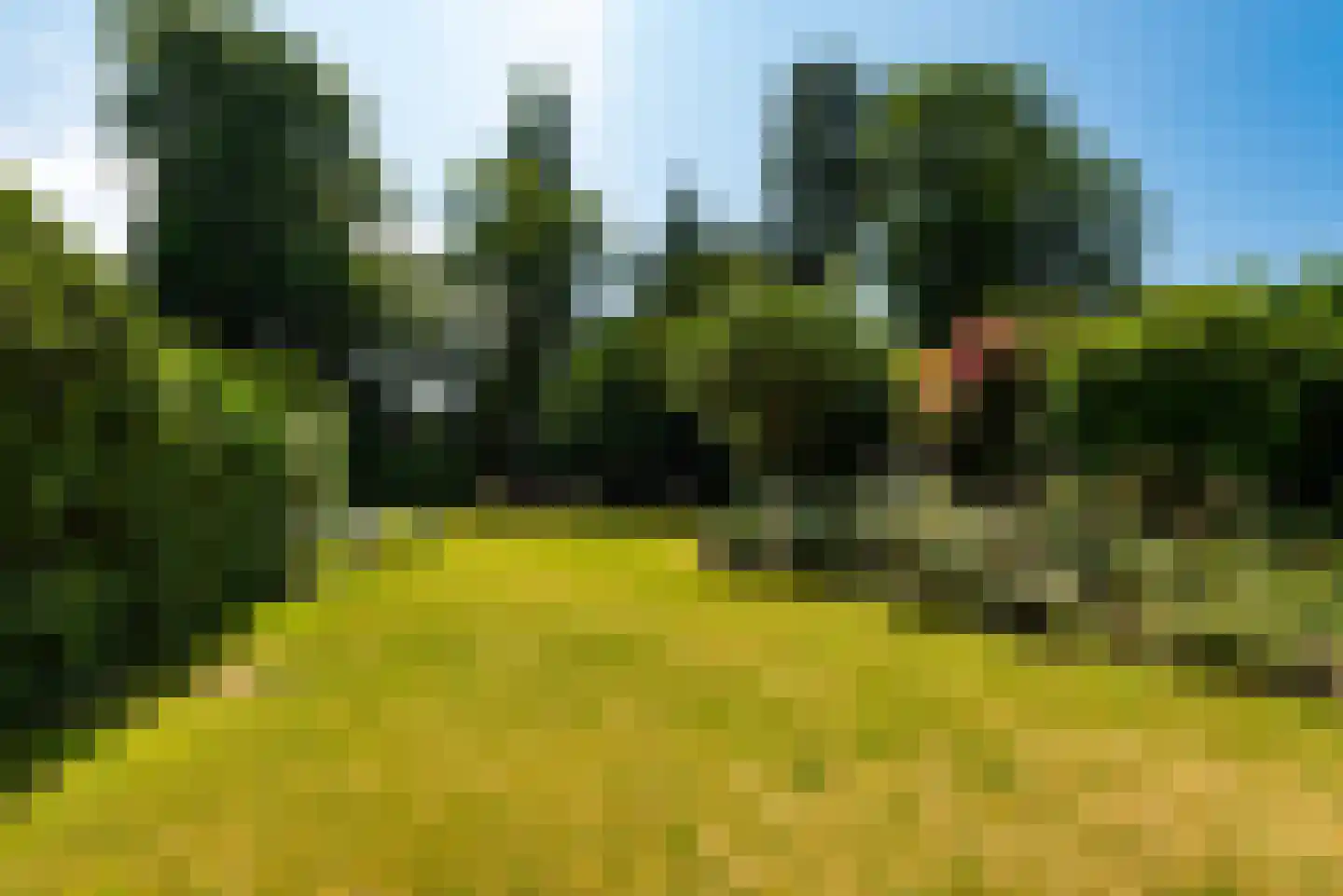 Nassaulaan 53 Baarn thumbnail 33
