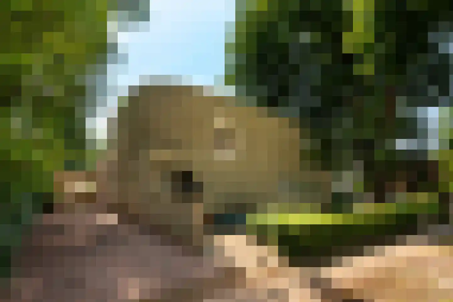 Nassaulaan 53 Baarn thumbnail 34