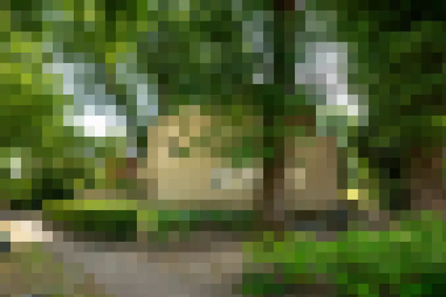 Nassaulaan 53 Baarn thumbnail 6