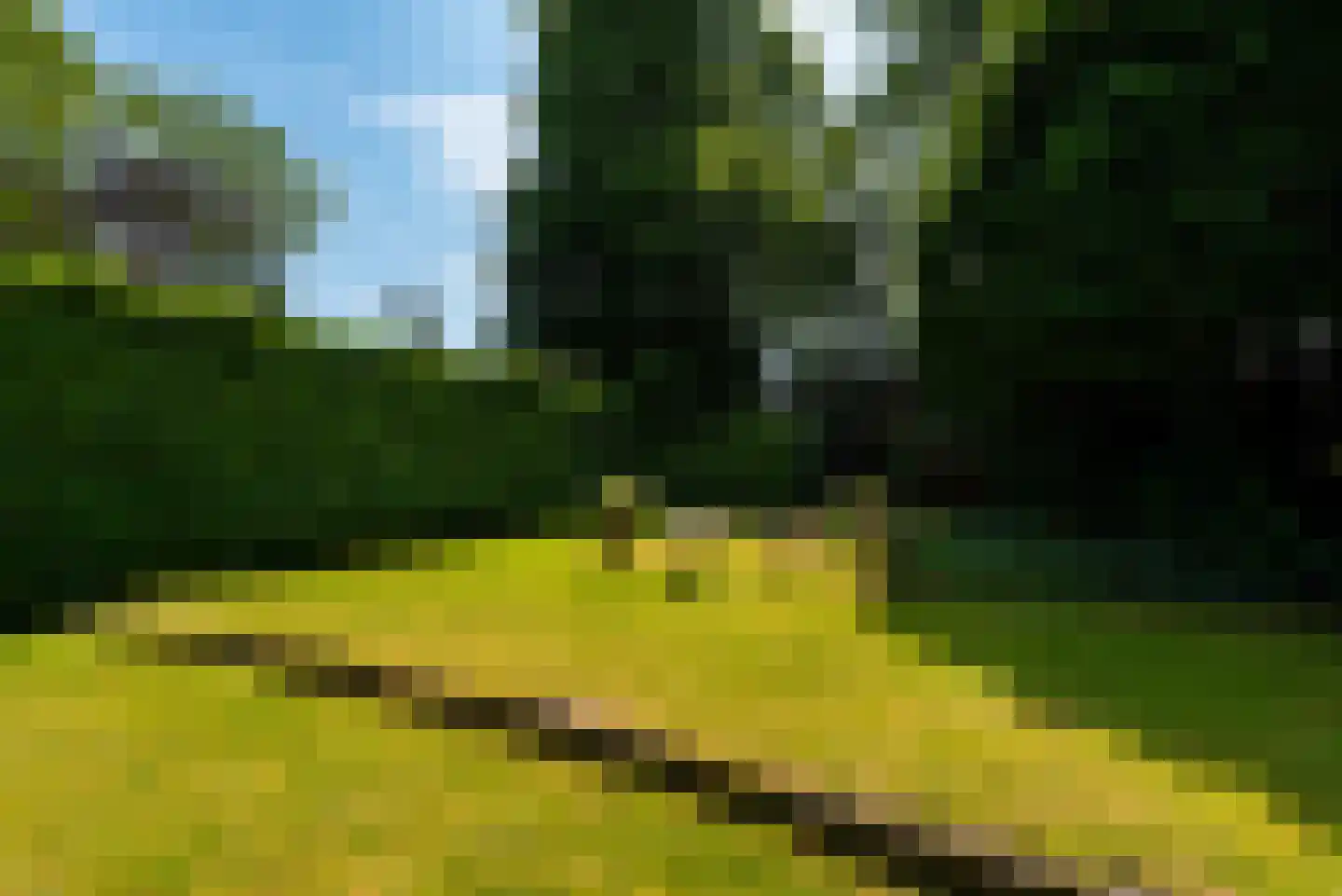 Nassaulaan 53 Baarn thumbnail 8