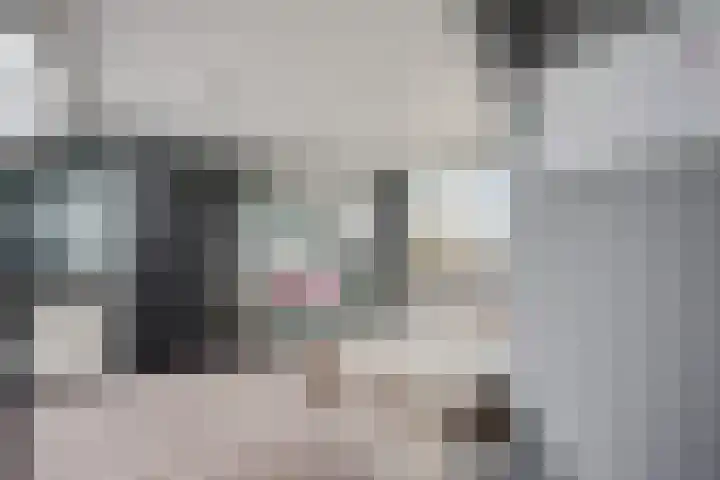 Nassaulaan 53 Hoevelaken thumbnail 24