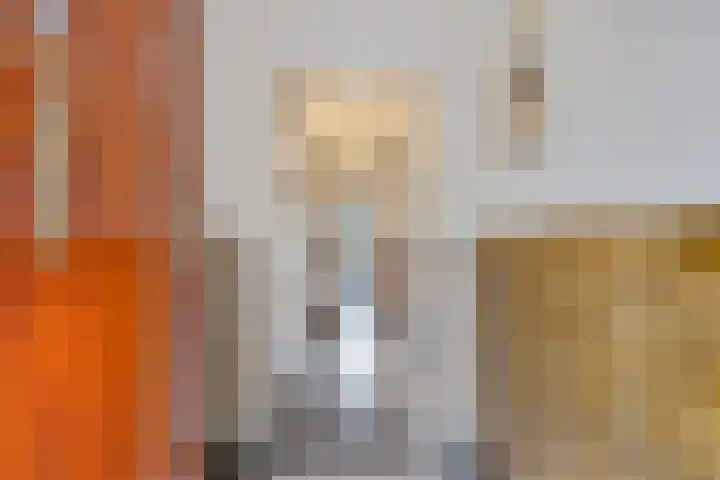 Nassaulaan 54 Groningen thumbnail 13
